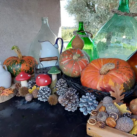 Vendégház Casa Autunno 4*