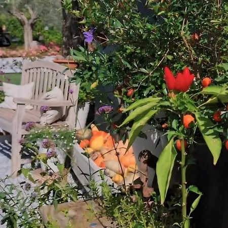 Casa Autunno Affittacamere Monzambano