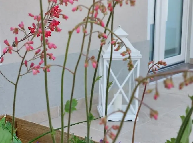 Casa Autunno ゲストハウス 4*